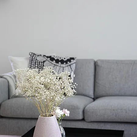 Northern Lights By Booklapland